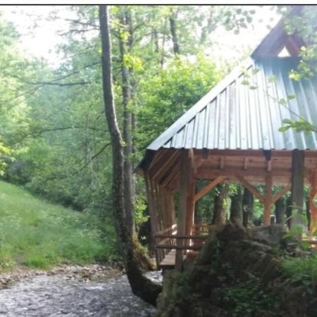 Eco Camp Dzogaska Vrela Hotel Pljevlja Exterior foto