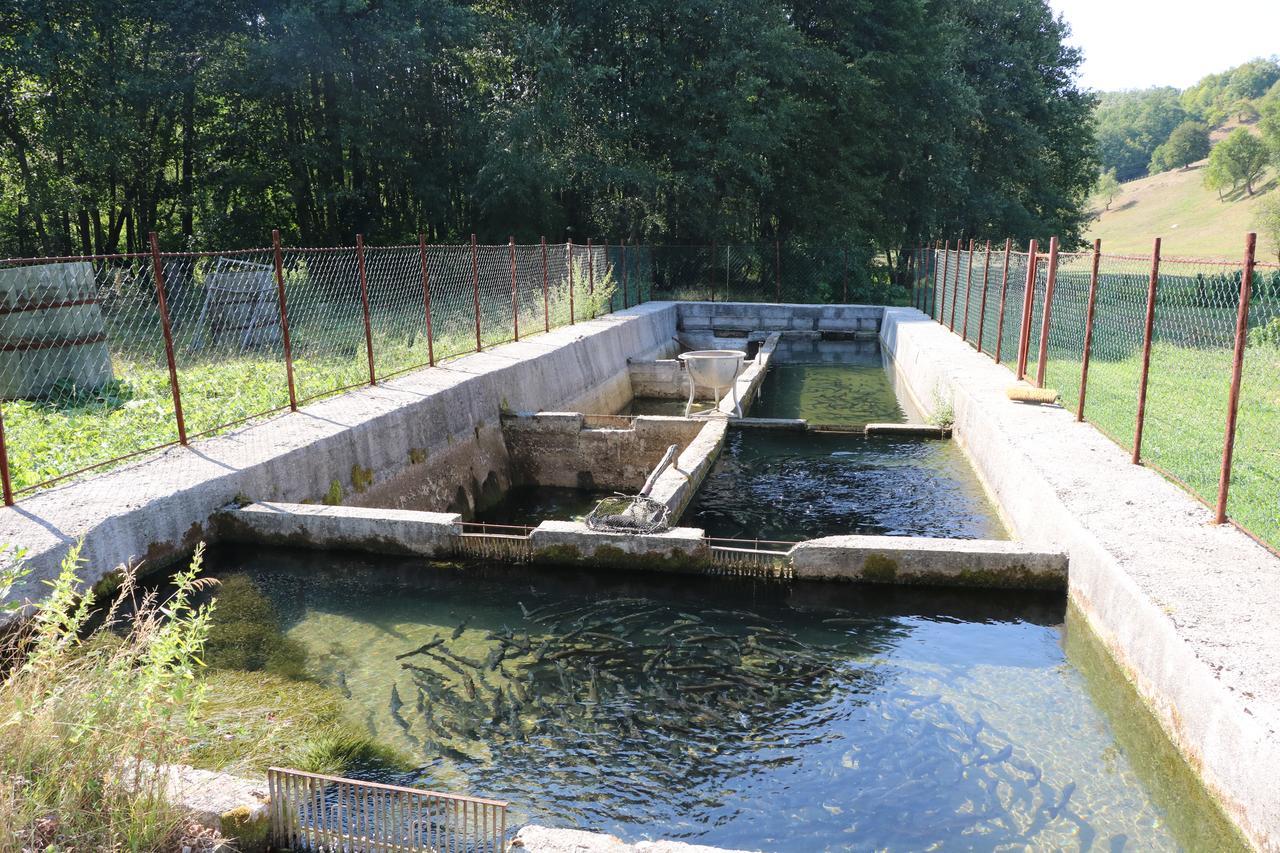 Eco Camp Dzogaska Vrela Hotel Pljevlja Exterior foto