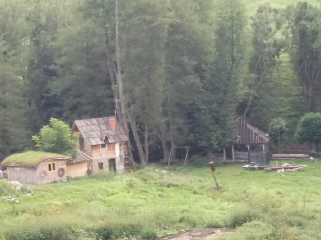 Eco Camp Dzogaska Vrela Hotel Pljevlja Exterior foto